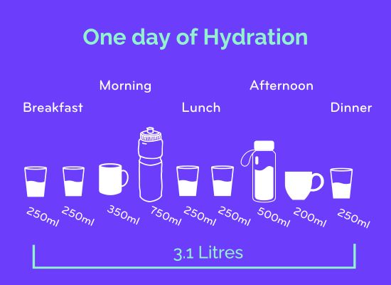 A diagram showing different vessels for drinks, with their ml quantities, and an indication of when in the day you'd drink them. The heading text is 'One day of Hydration'. From left to right: Breakfast: two glasses, (each 250ml), Morning: one mug (350ml), one sports drink bottle (750ml), Lunch: two glasses (250ml), Afternoon: a leisure drink bottle (500ml), a mug (200ml), and Dinner: a glass (250ml). At the bottom, a bracket encompasses them all with the text '3.1 Litres'. The text is mint green, the vessels are white, on a purple background.