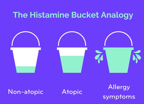 A illustrated graphic showing The Histamine Bucket Ananlogy, with three buckets. The first one is white with 1/4 full of mint green. Underneath is written 'Non-atopic'. The second bucket is white, 3/4 full of mint green. Underneath is written 'Atopic'. The third bucket is overflowing with mint green splashing over the top. Underneath is written 'Allergy symptoms'.